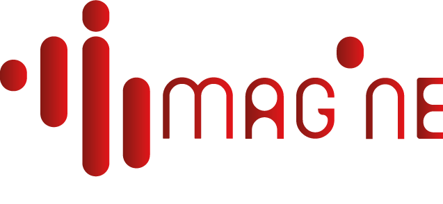 Imagine Data Logo