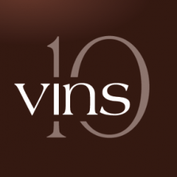 10-VINS