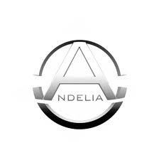 Startup ANDELIA