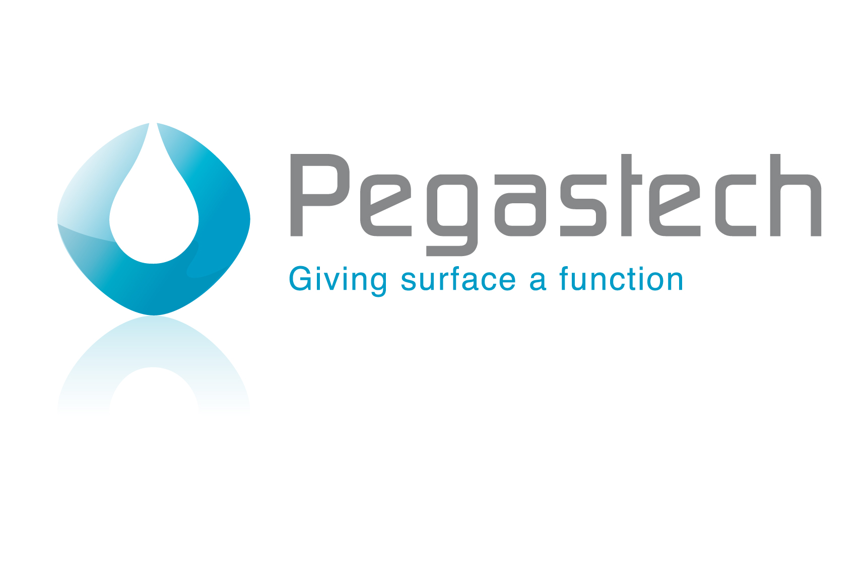 Startup PEGASTECH