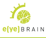 EYE BRAIN