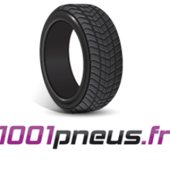 1001 PNEUS