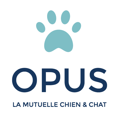 OPUS