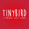 Startup TINYBIRD