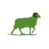 GREENSHEEP