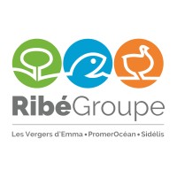 RIBEGROUPE