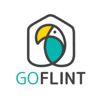 Startup GOFLINT