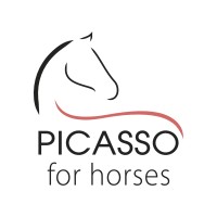 PICASSO FOR HORSES