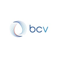 BASECAMP VASCULAR