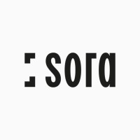 Startup SORA