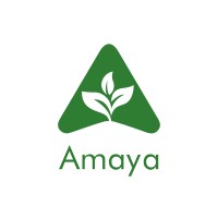 AMAYA AG