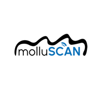 MOLLUSCAN-EYE