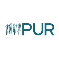 THE PURE PROJECT