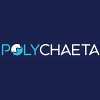 POLYCHAETA