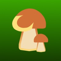 CEPIO
