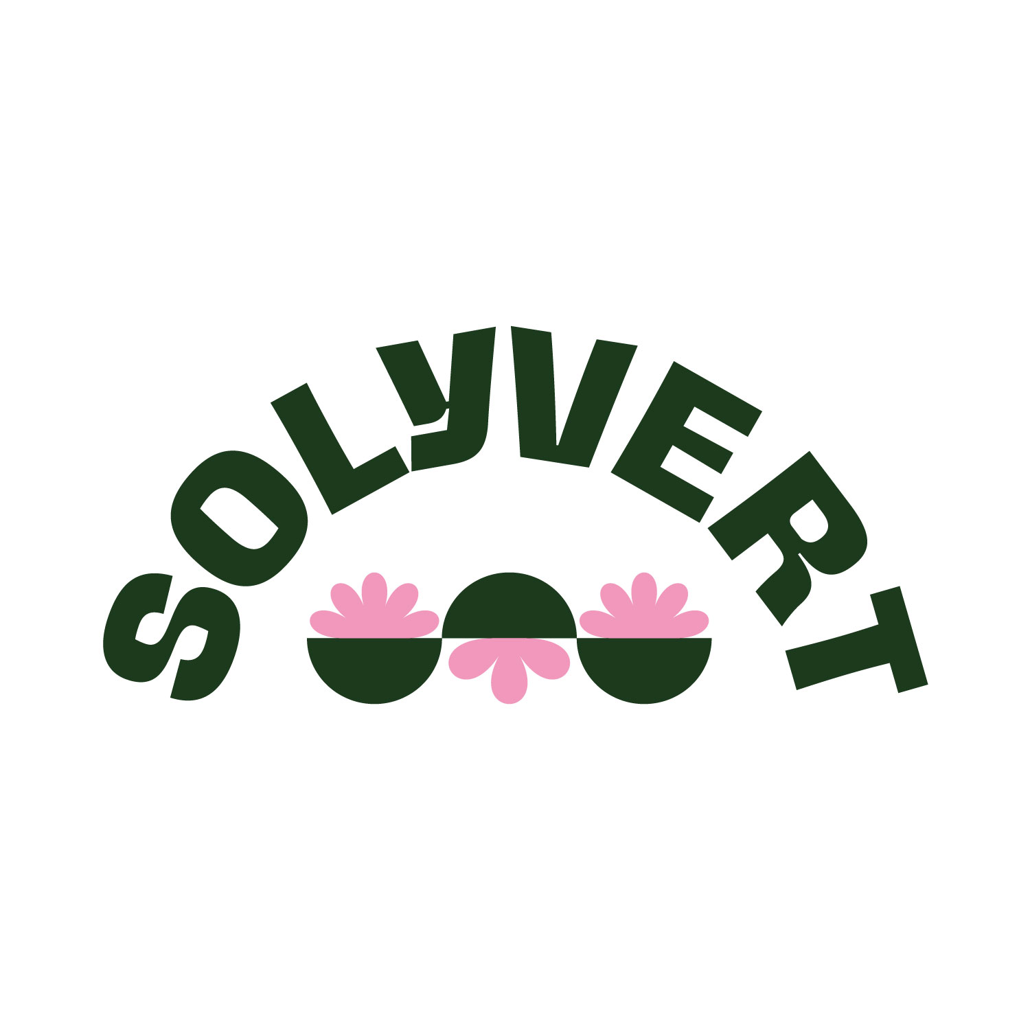 Startup SOLYVERT