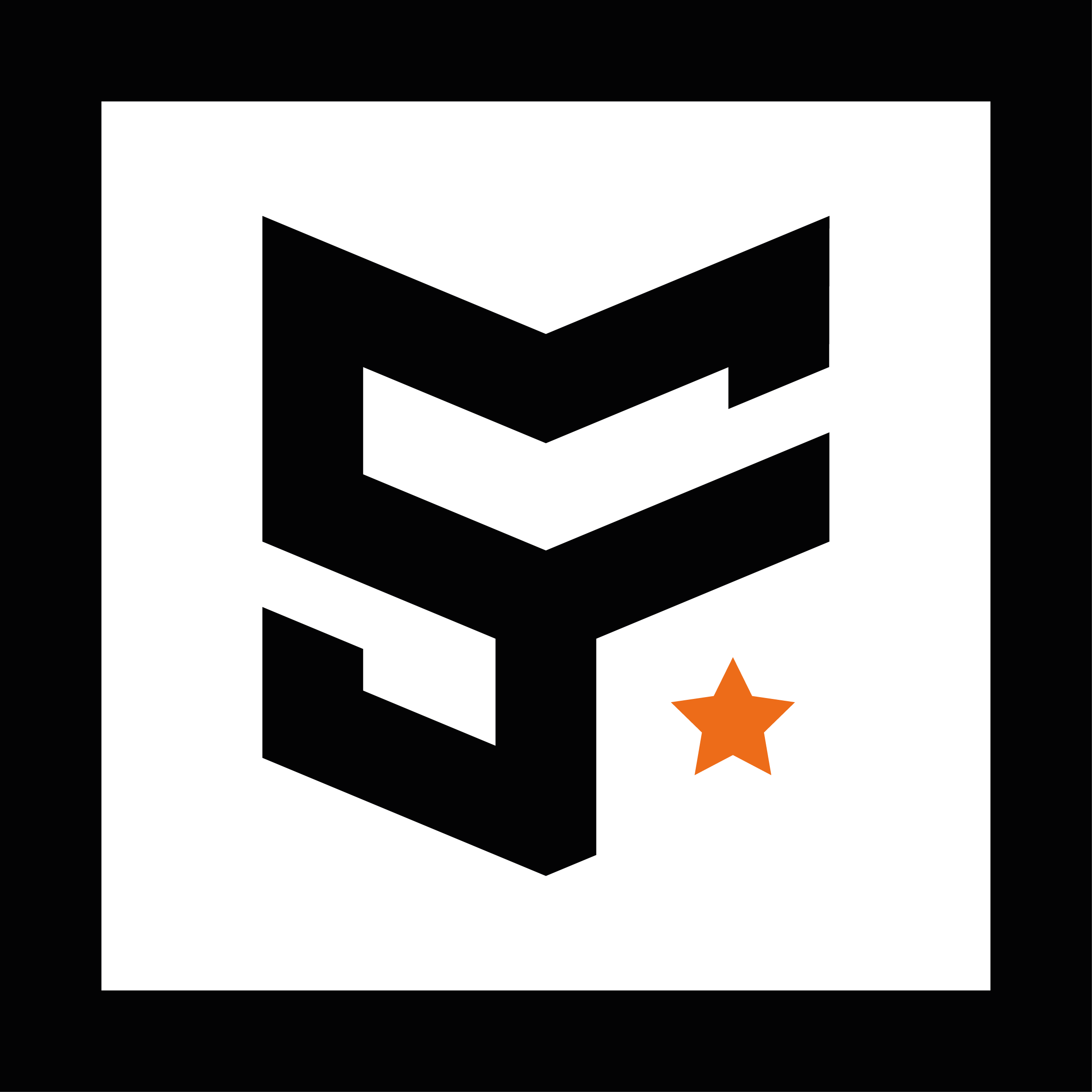 SPORT FACTION (SF)