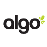 ALGO PAINT