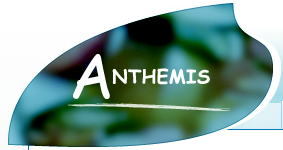 ANTHEMIS