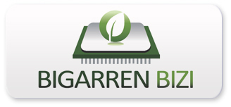 BIGARREN BIZI