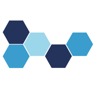 BLUE BEES