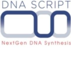 Startup DNA SCRIPT