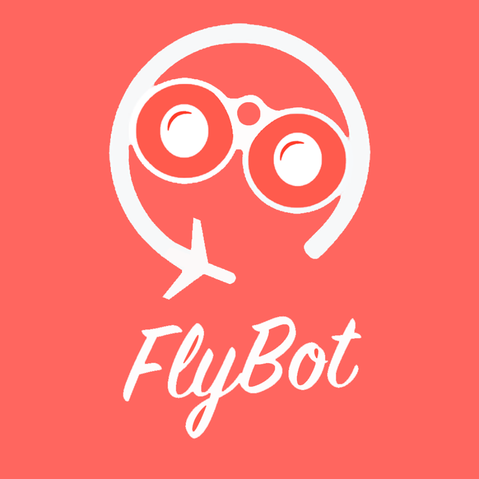 FLYBOT