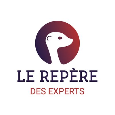 LE REPERE DES EXPERTS