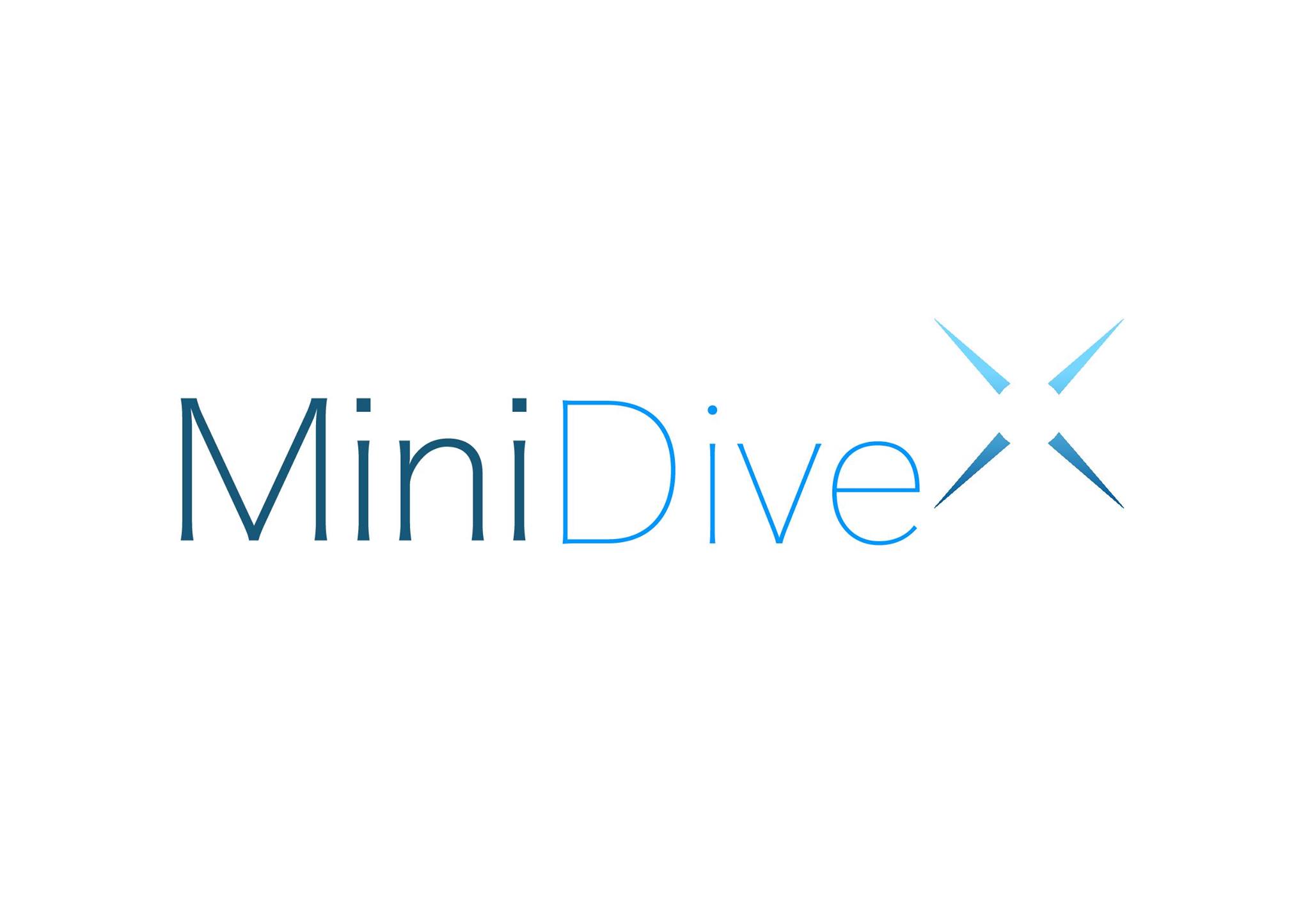 MINIDIVE