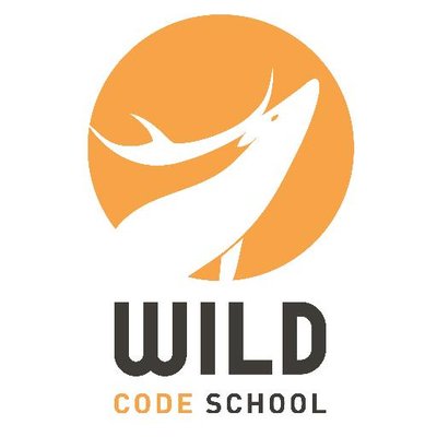Startup WILD CODE SCHOOL